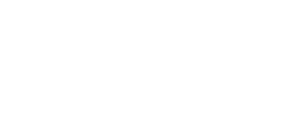 fsi-en Logo