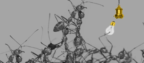 Upcoming webinar! Getting Started with Quality Management: Professional 📅